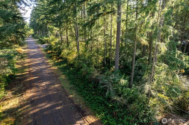a view of a lush green field