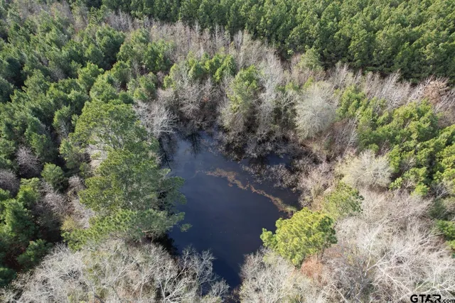 $91,500 | 4037 County Road 4037, Timpson, TX 75975