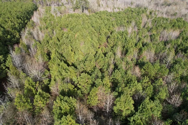 $91,500 | 4037 County Road 4037, Timpson, TX 75975