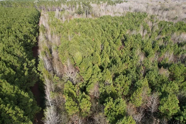 $91,500 | 4037 County Road 4037, Timpson, TX 75975