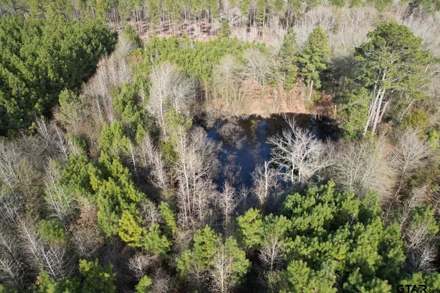 $91,500 | 4037 County Road 4037, Timpson, TX 75975