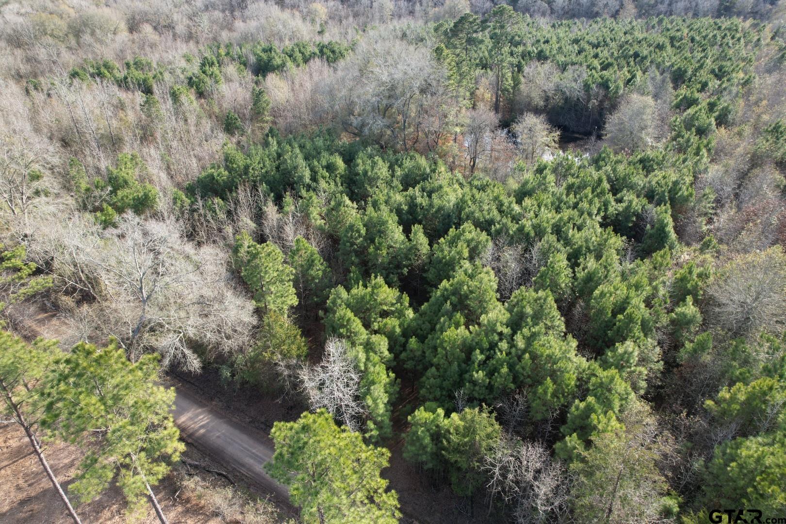 4037 County Road 4037 Timpson, TX 75975 - Photo 8 of 11