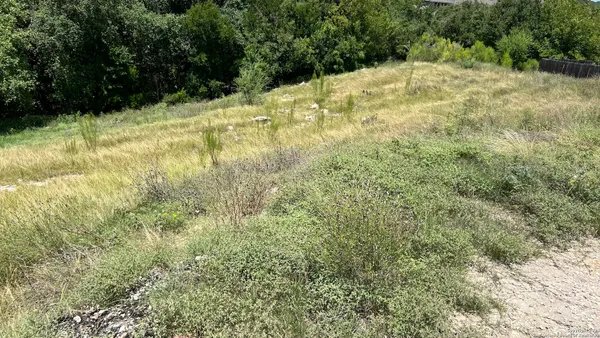 a view of a yard