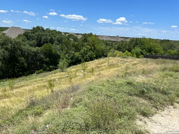 a view of a yard