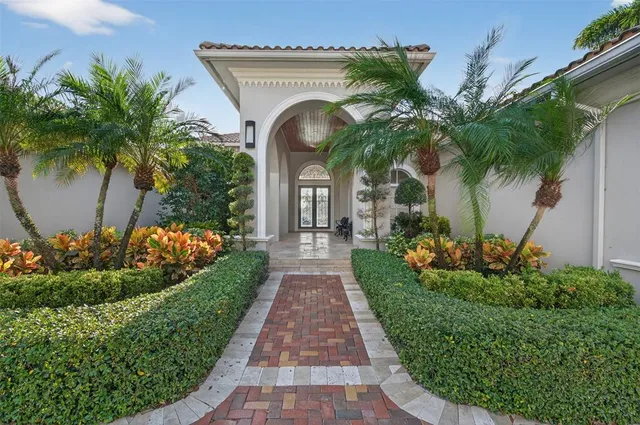 a view of a yard with a palm trees