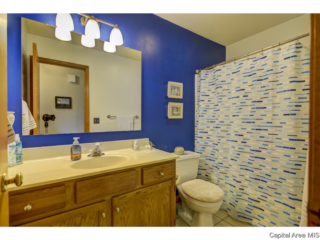 1219 Christopher Lane Springfield, IL 62712 - Photo 29 of 36