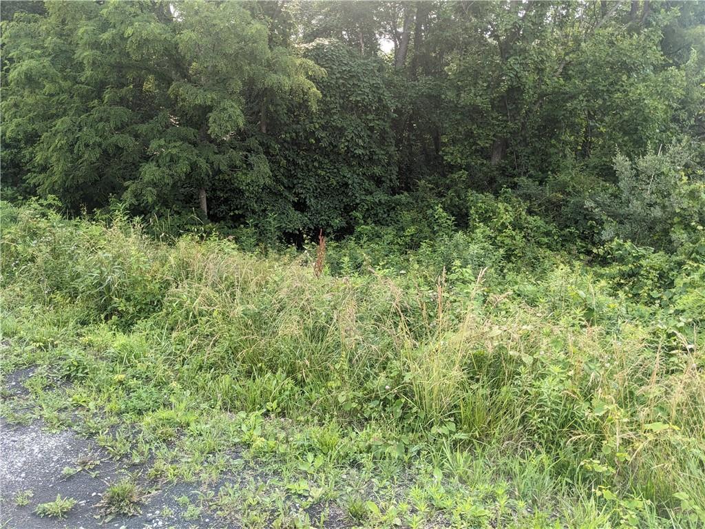 0 Raymond Franks Road Smithfield, PA 15478 - Photo 16 of 16 a view of a lush green forest with trees and houses