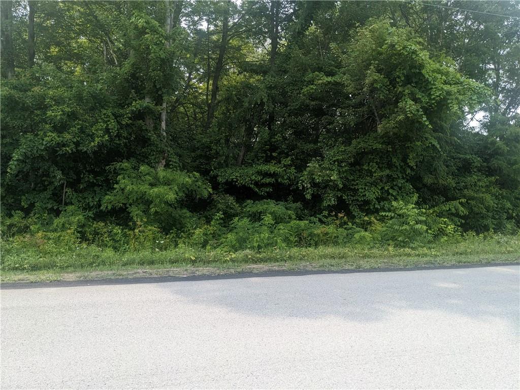 0 Raymond Franks Road Smithfield, PA 15478 - Photo 6 of 16 a view of a yard