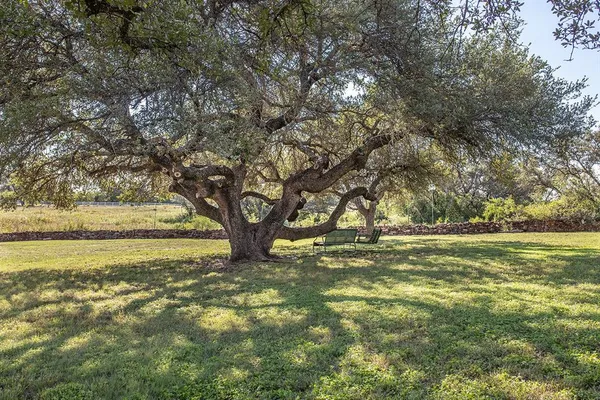 a view of a yard with an trees