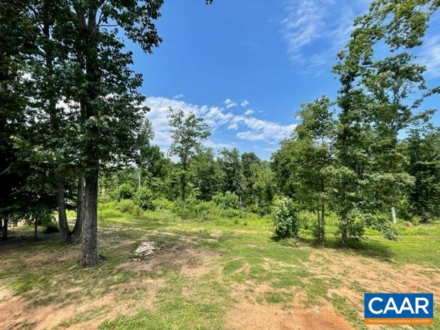 916 Mallorys Ford Road Louisa, VA 23093 - Photo 11 of 44 Gallery Image 11