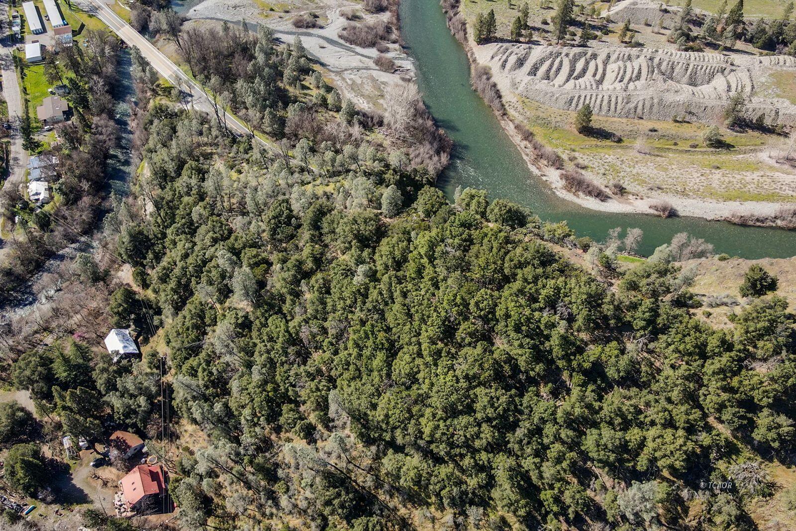 71 Gilzean Road Junction City, CA 96048 - Photo 5 of 14 a view of a tree with a tree