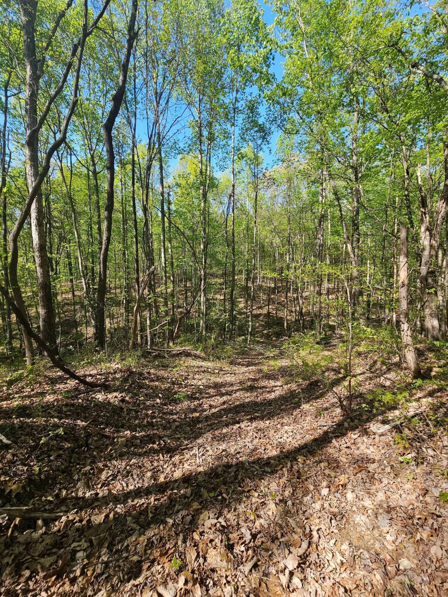 0 Waterwheel Way, Unit 337 Jasper, TN 37347 - Photo 4 of 47 3