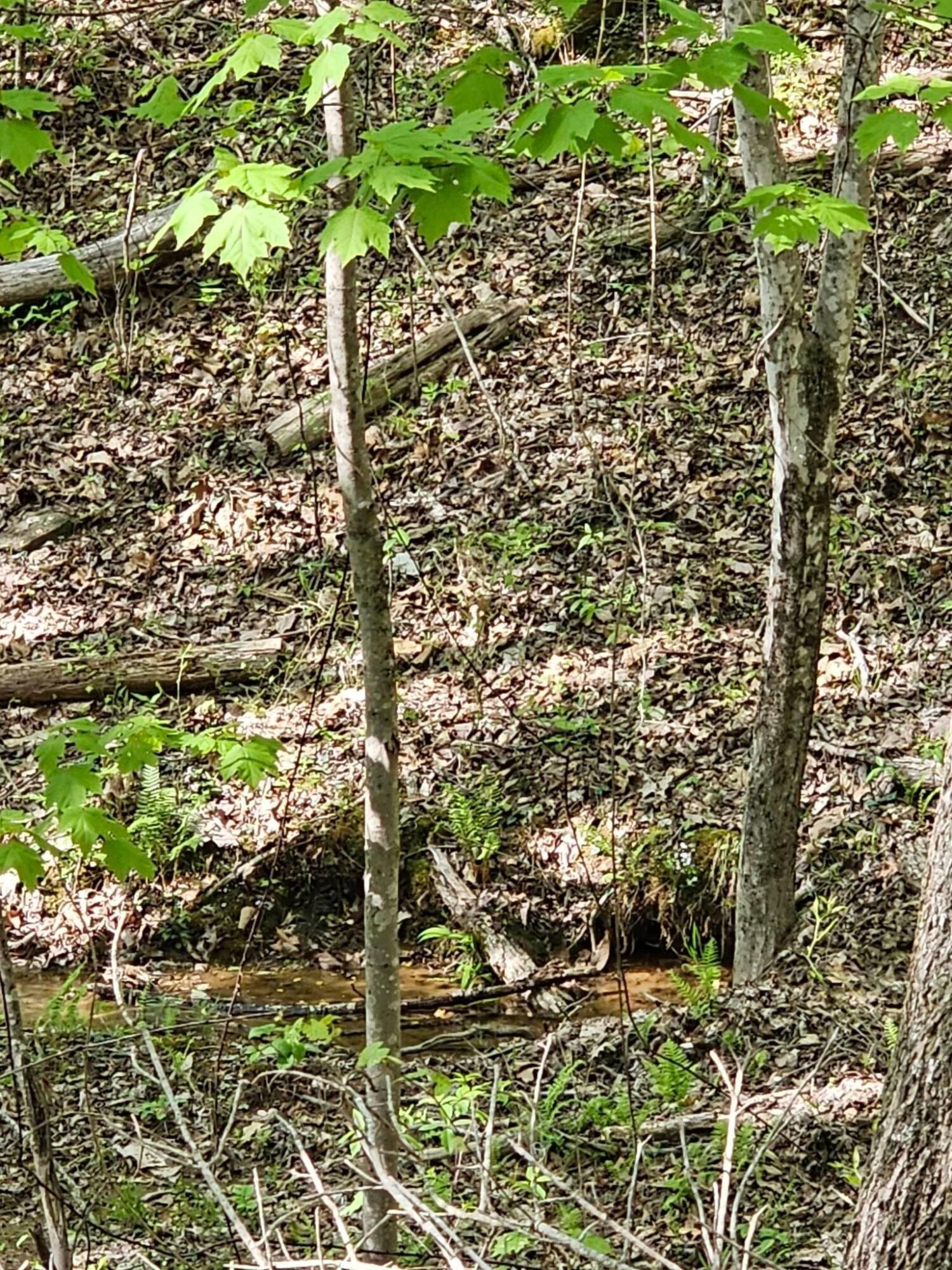 0 Waterwheel Way, Unit 337 Jasper, TN 37347 - Photo 8 of 47 4