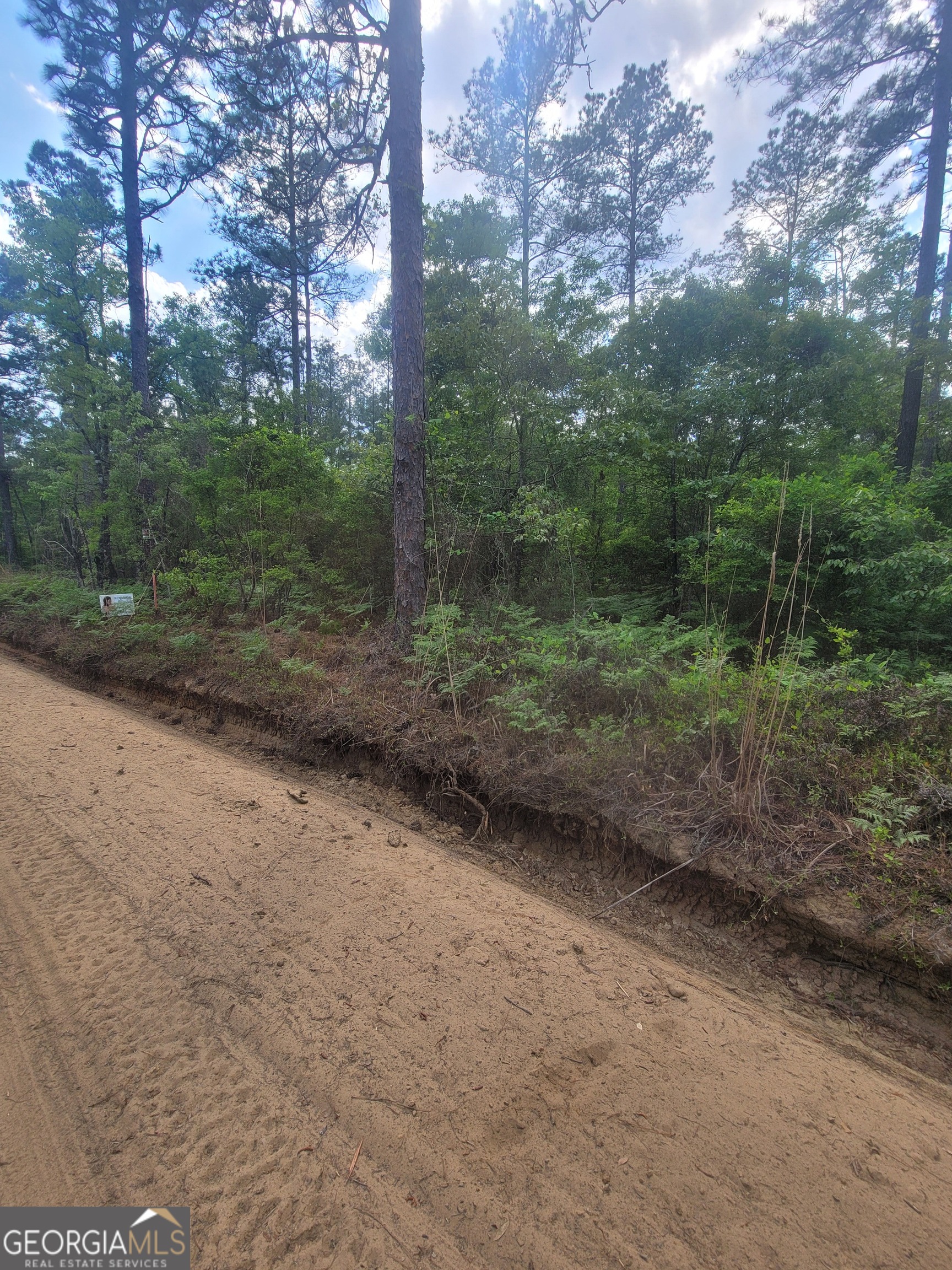 0 Busby Road Statesboro, GA 30461 - Photo 2 of 5