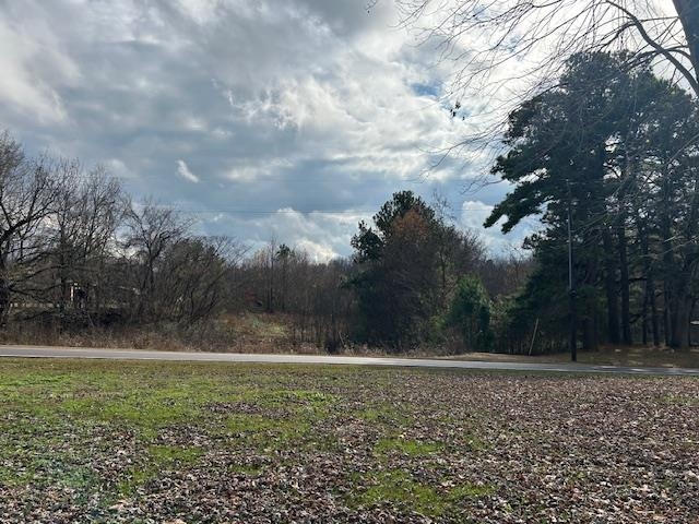 7030 Asbury Glimp Road Ripley, TN 38063 - Photo 10 of 22 View of yard