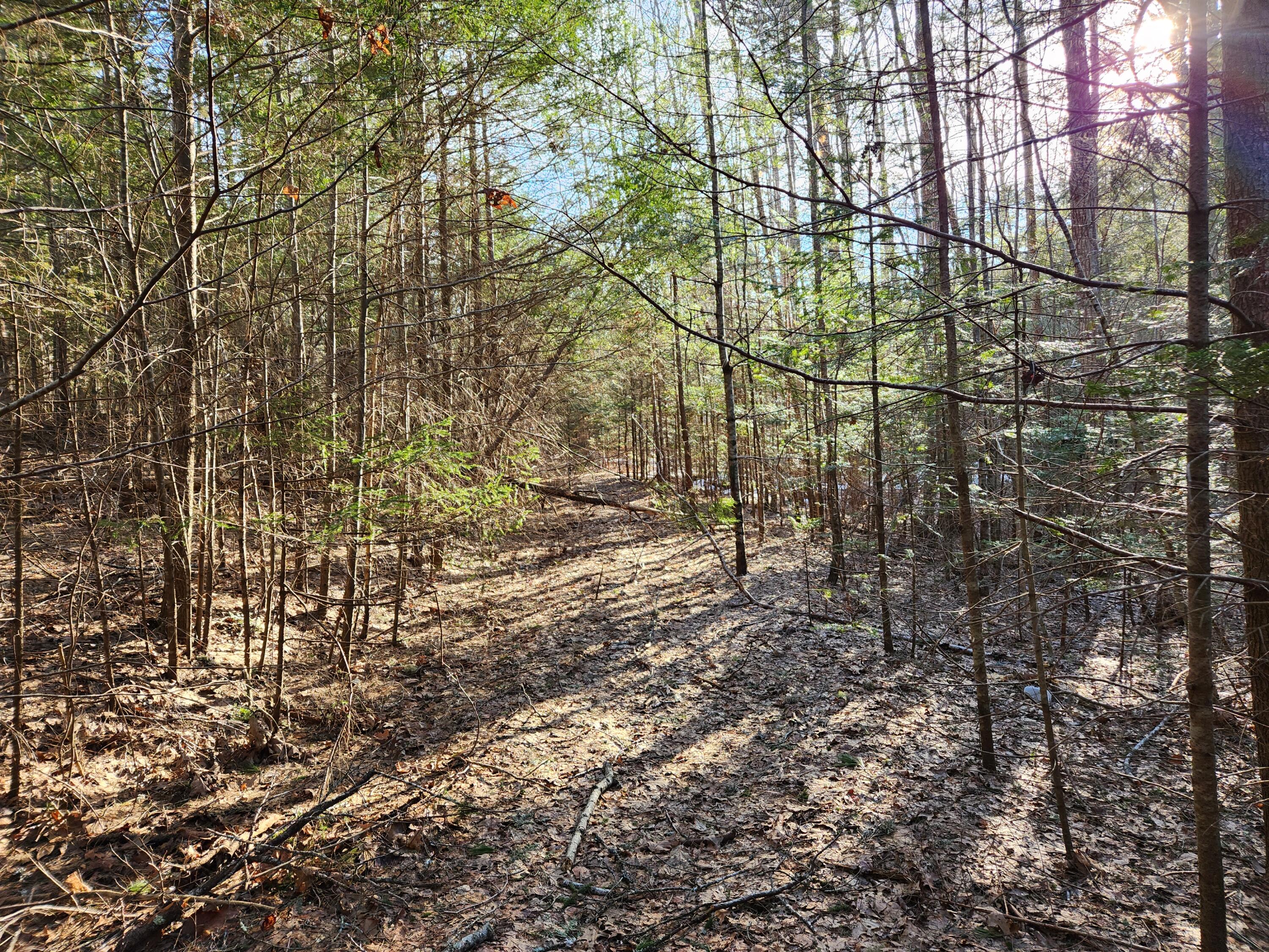 Lot 40 Pension Ridge Road Boothbay, ME 04537 - Photo 5 of 7 Photo 4