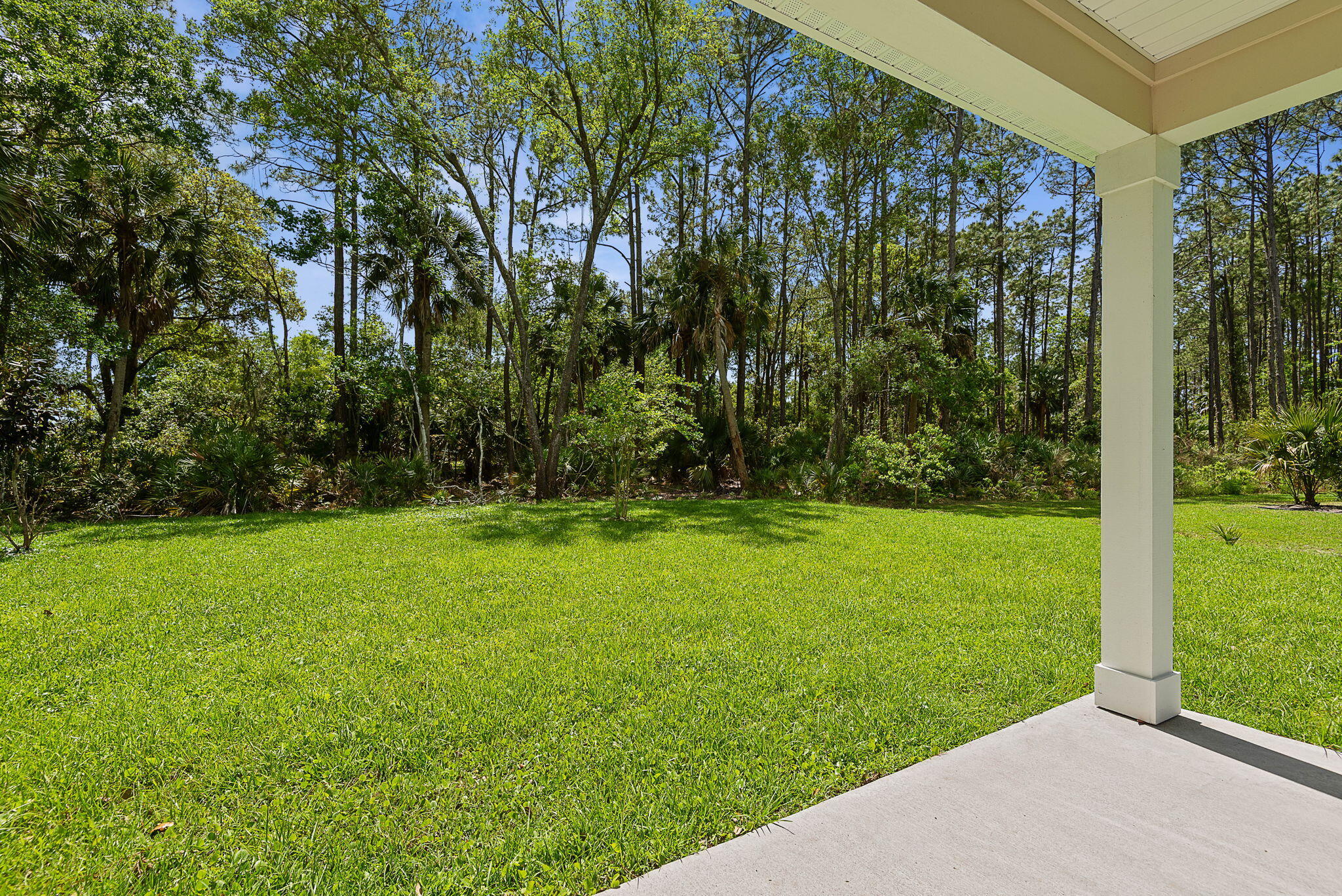 46 Poplar Drive Palm Coast, FL 32164 - Photo 44 of 59 a view of a yard with a tree