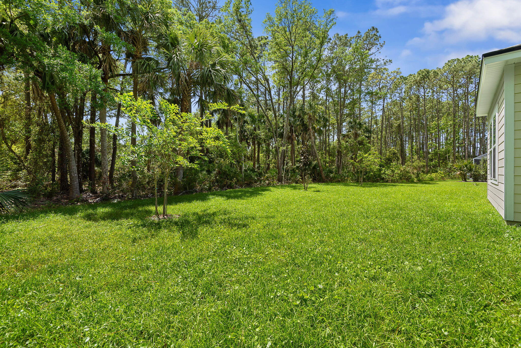 46 Poplar Drive Palm Coast, FL 32164 - Photo 45 of 59 a view of yard with green space