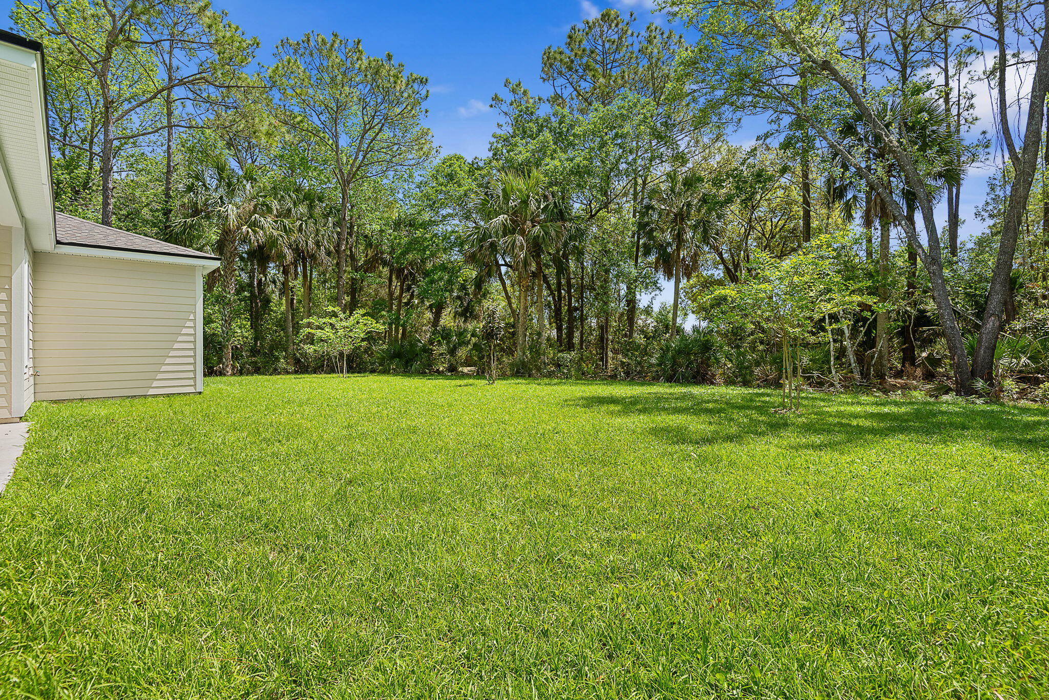 46 Poplar Drive Palm Coast, FL 32164 - Photo 48 of 59 a view of green field with trees in the background