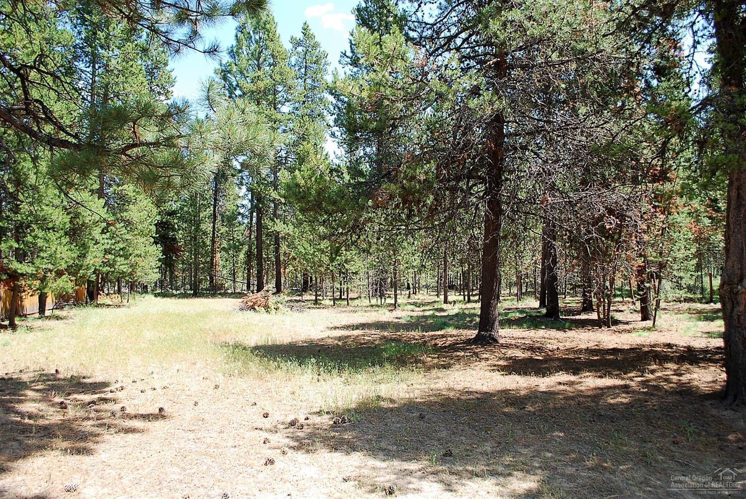 55690 Snow Goose Road Bend, OR 97707 - Photo 15 of 17 Additional Photo