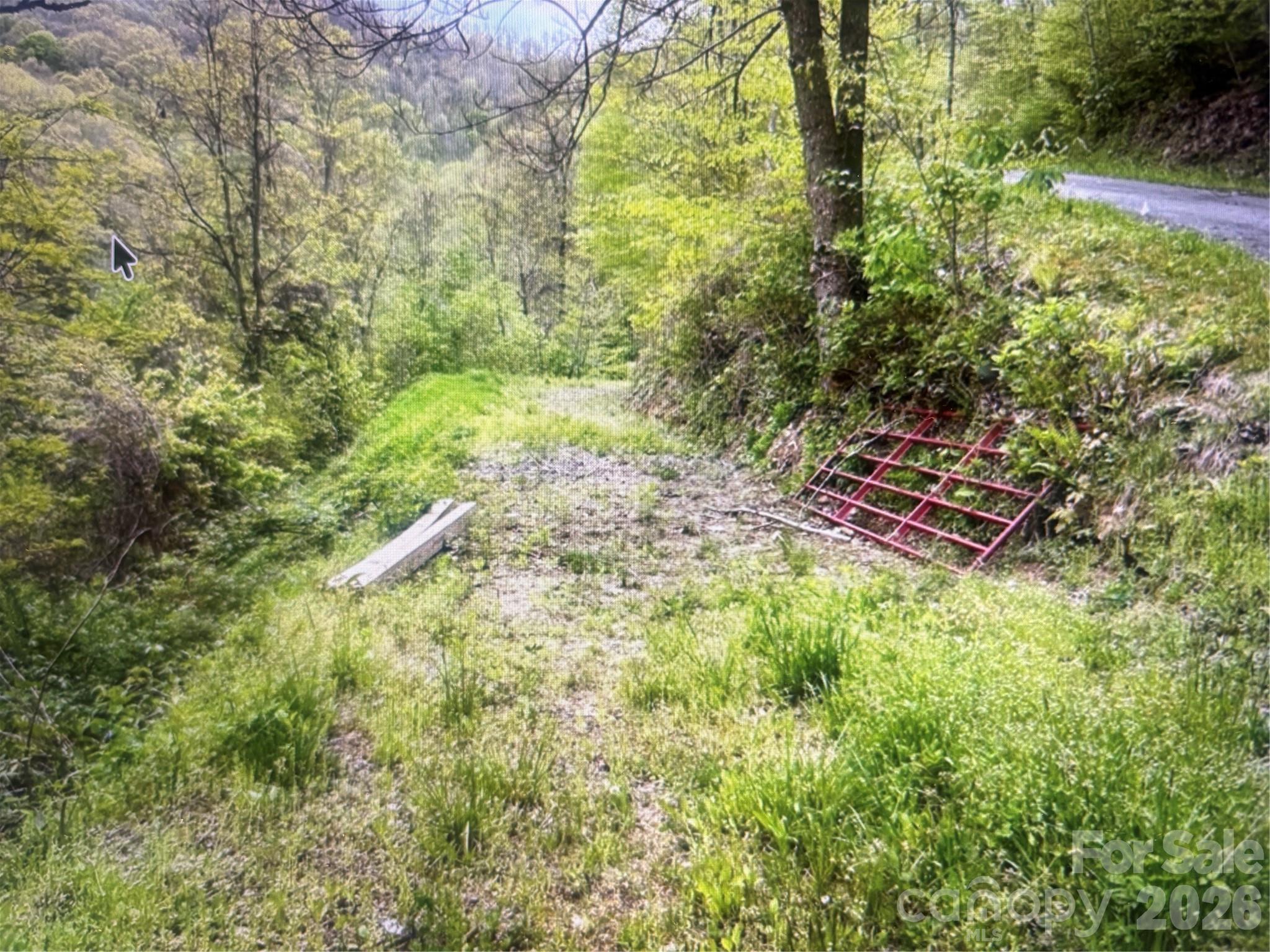 0 Huckleberry Walk, Unit 61 Bryson City, NC 28713 - Photo 7 of 10
