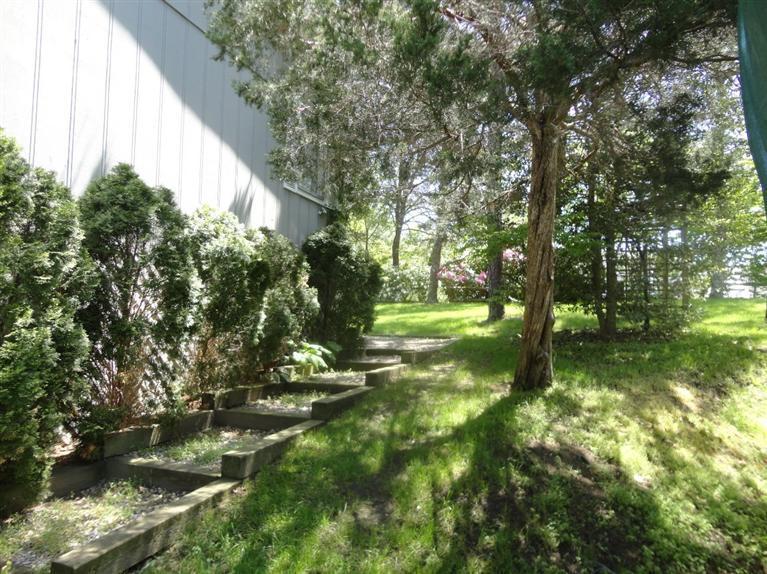 131 Old Kings Road Cotuit, MA 02635 - Photo 23 of 33 a backyard of a house with lots of green space