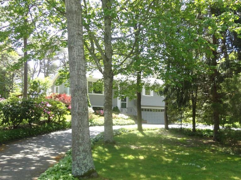 131 Old Kings Road Cotuit, MA 02635 - Photo 3 of 33 a view of a park with a tree