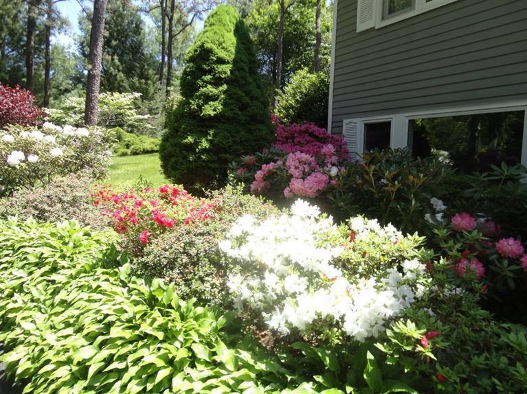 131 Old Kings Road Cotuit, MA 02635 - Photo 8 of 33 a view of a house with a yard and garden