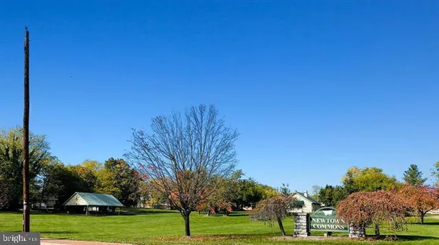 a view of a park with large trees