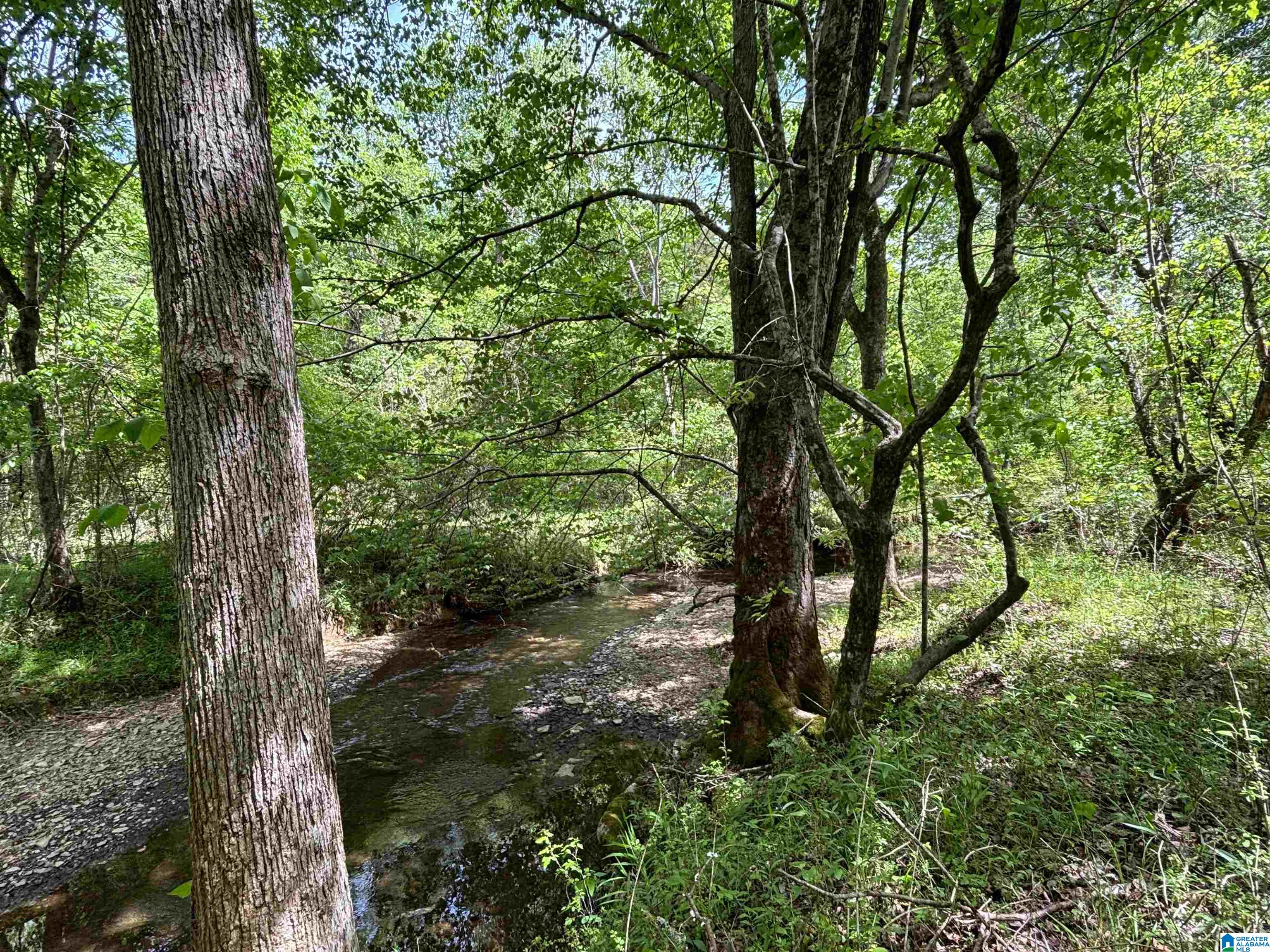 498 Blackwood Road, Unit 14 9 ACRES Parrish, AL 35580 - Photo 14 of 50