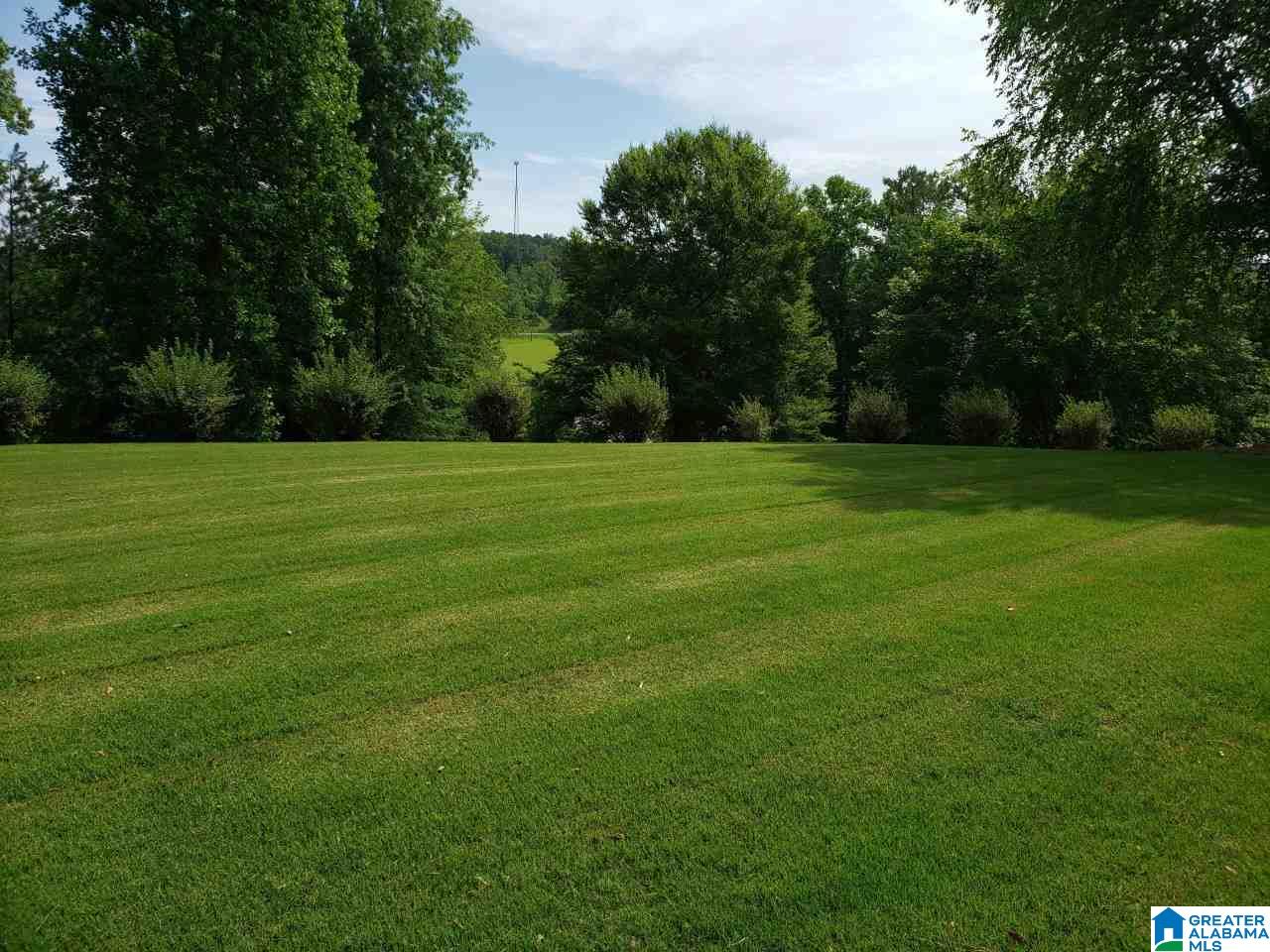 60 Easy Street Oneonta, AL 35121 - Photo 37 of 43