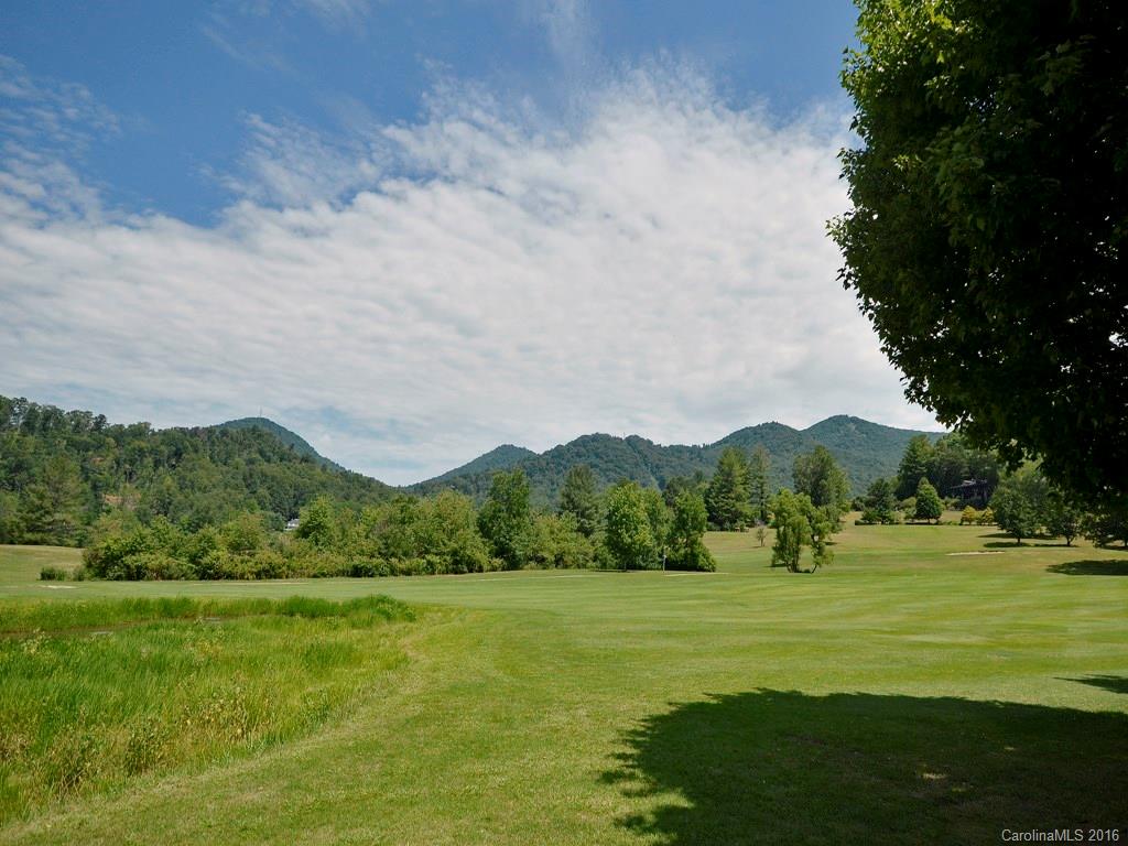 51 Forest Road, Unit 51 Canton, NC 28716 - Photo 13 of 14 a view of grassy field with mountain
