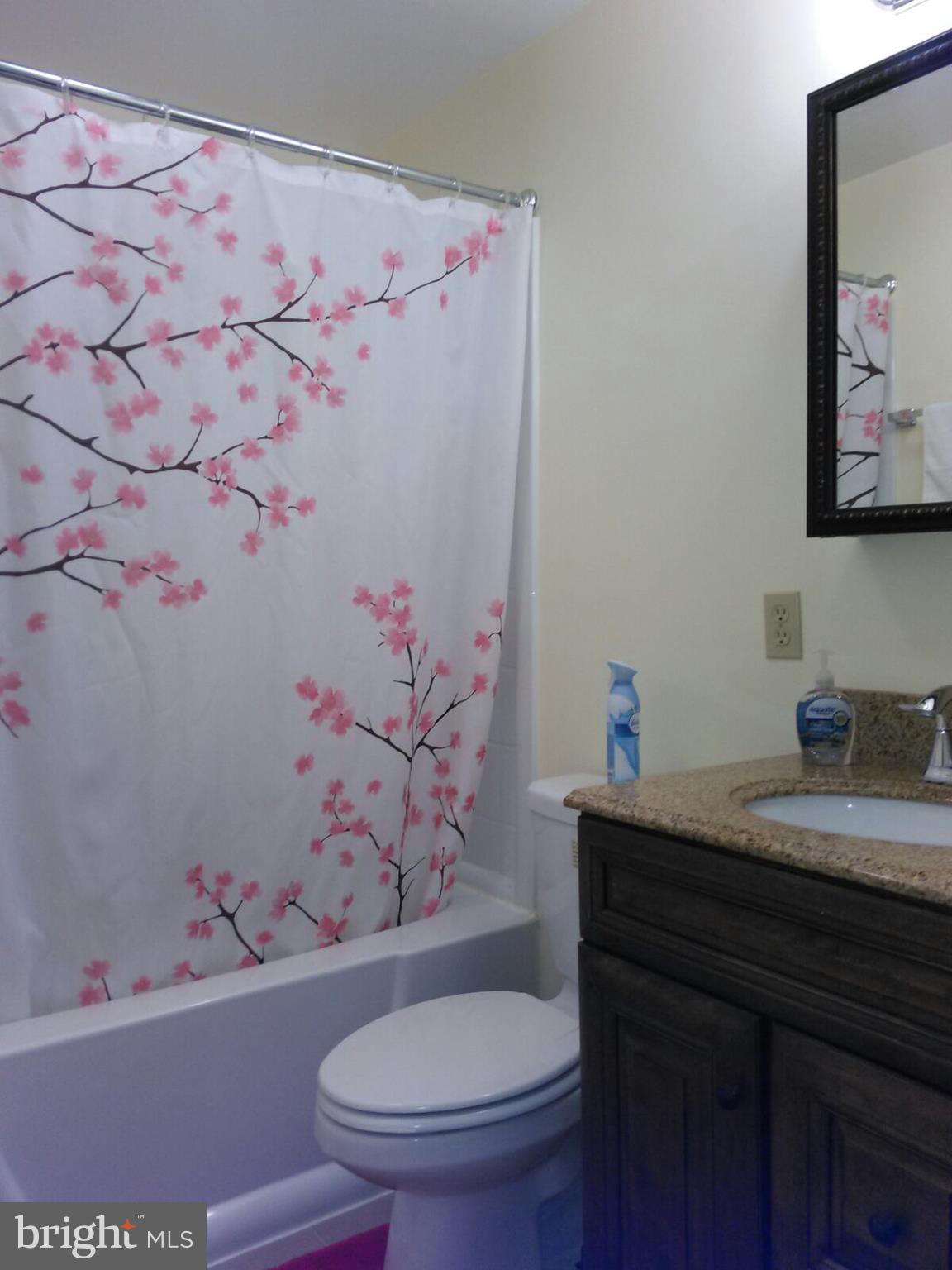 7006 Pinecrest Road Baltimore, MD 21228 - Photo 29 of 30 a bathroom with a granite countertop sink and a toilet