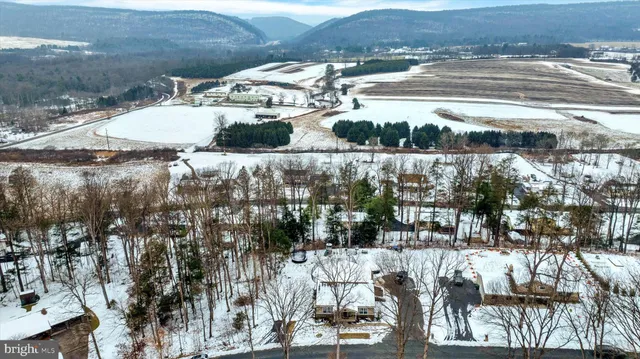 a view of a town with large trees