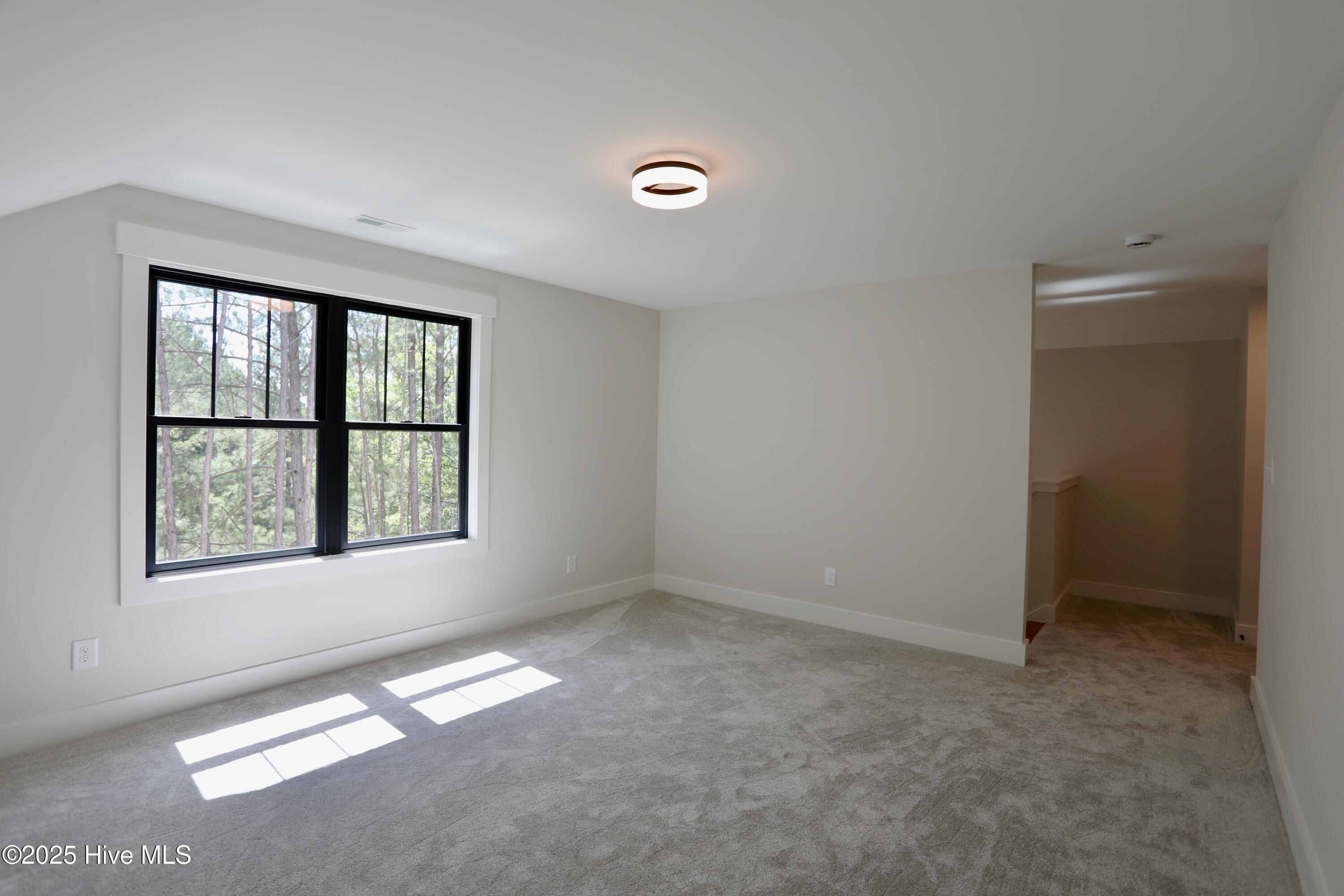 130 Gails Road West End, NC 27376 - Photo 40 of 61 Upstairs Bonus/Flex Room