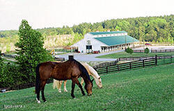 130 Gails Road West End, NC 27376 - Photo 48 of 61 McHills Horse Barn