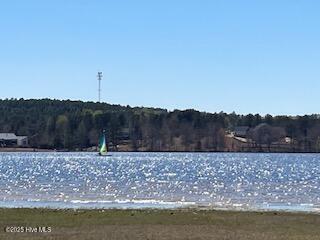 130 Gails Road West End, NC 27376 - Photo 54 of 61 LAKE SAILING