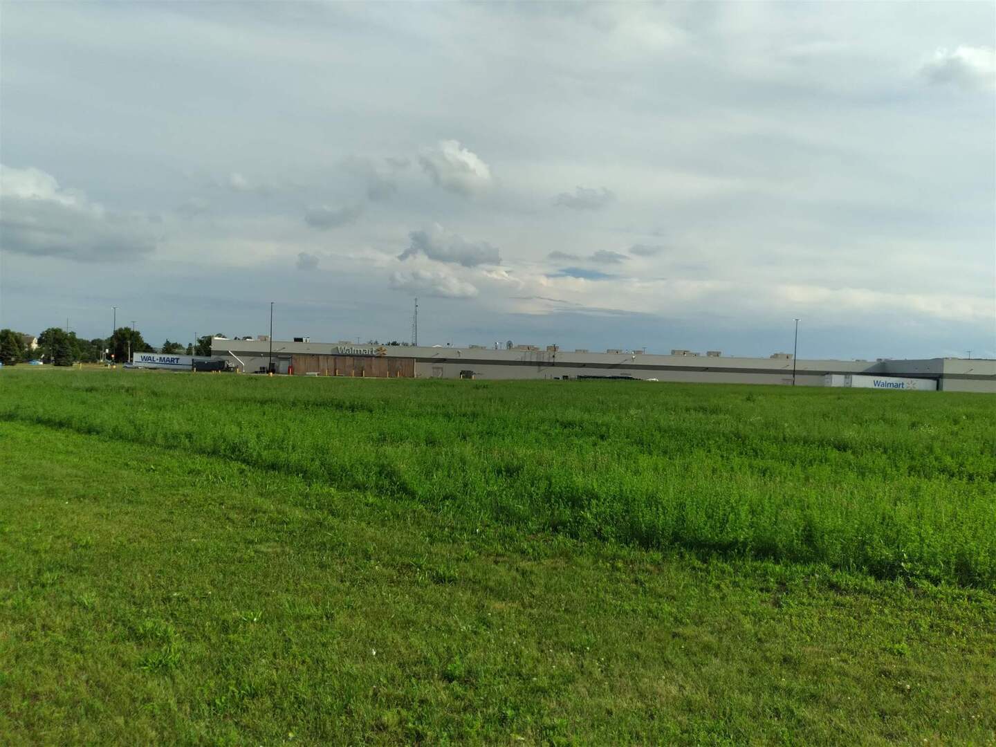 2439 Valley W Court Clinton, IA 52732 - Photo 5 of 12 a view of a big yard with plants and large trees