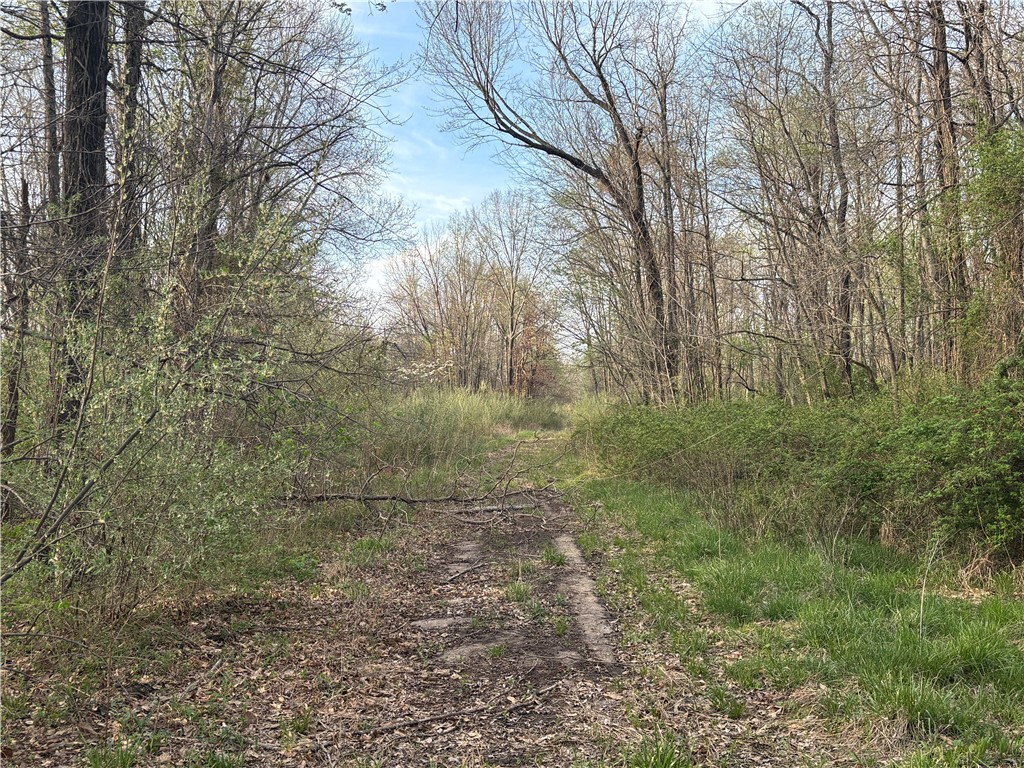 Applegate Road Bridgeport, IL 62417 - Photo 2 of 17