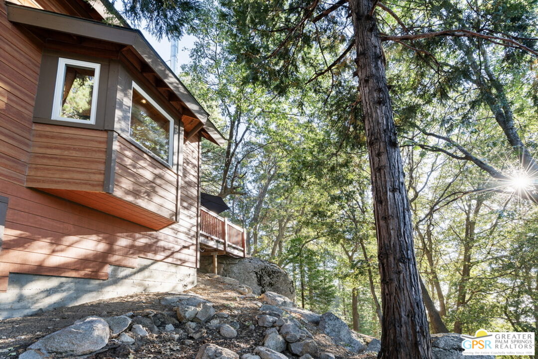 52352 Pine Ridge Road Idyllwild, CA 92549 - Photo 52 of 73 a backyard of a house with lots of green space