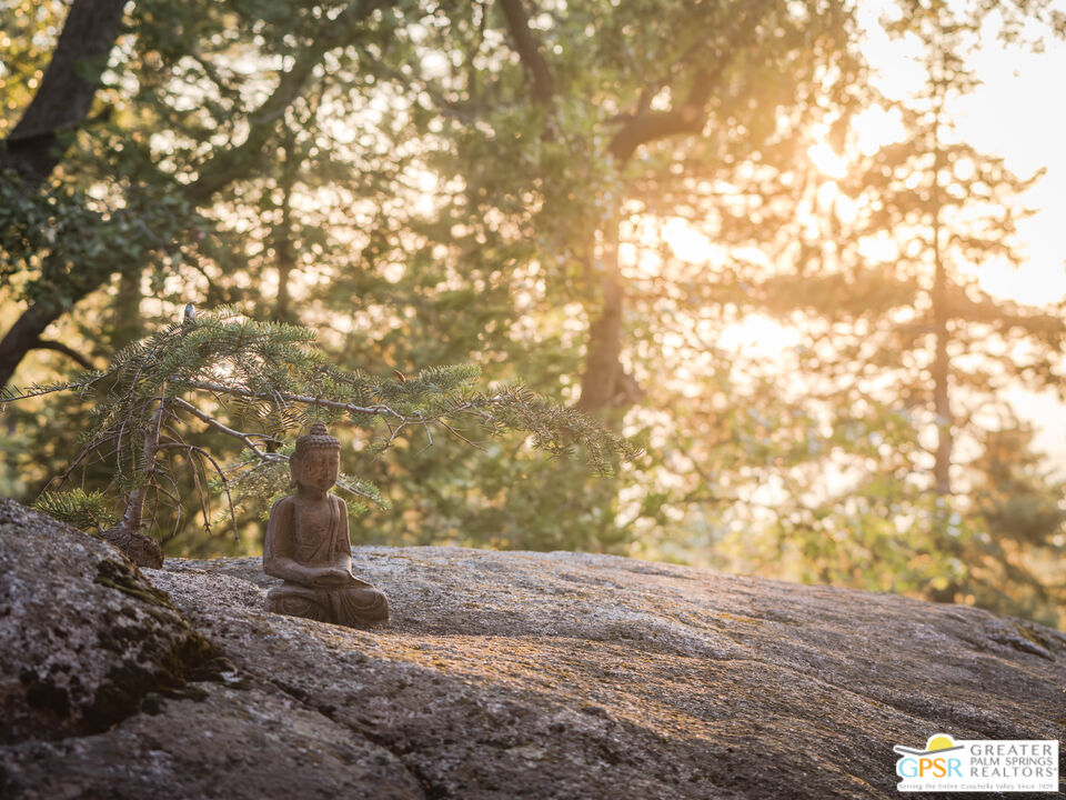 52352 Pine Ridge Road Idyllwild, CA 92549 - Photo 54 of 73