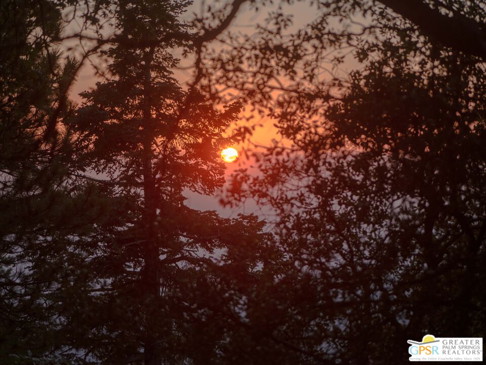 52352 Pine Ridge Road Idyllwild, CA 92549 - Photo 72 of 73