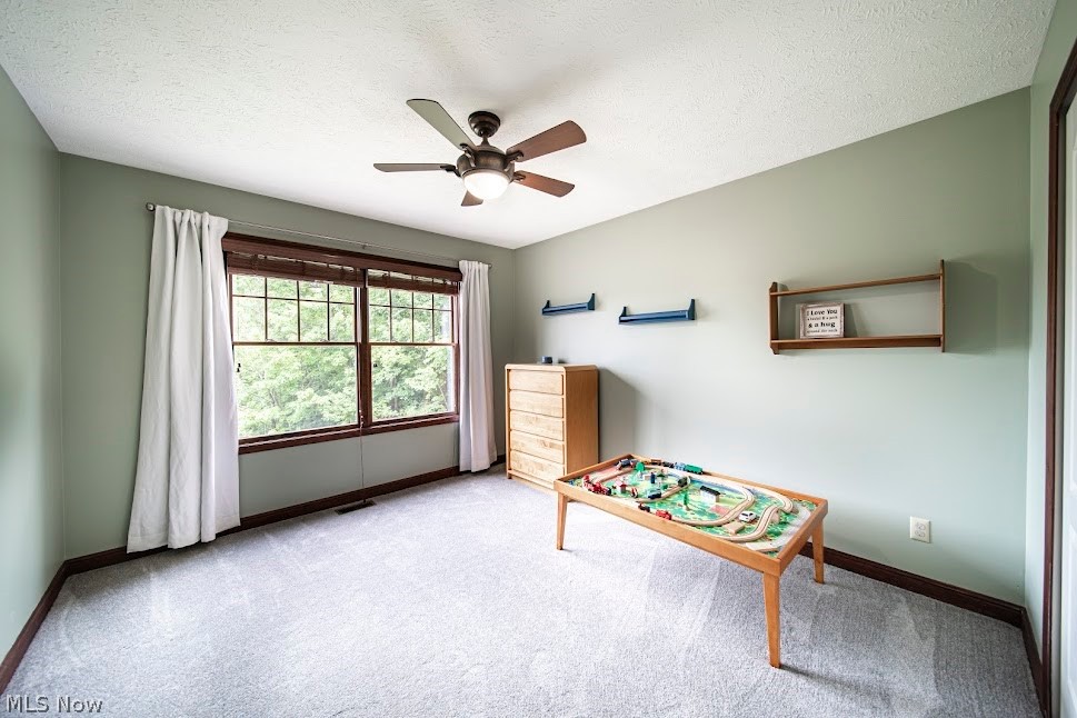 11590 Girdled Road Painesville, OH 44077 - Photo 18 of 32 Gallery Image 18