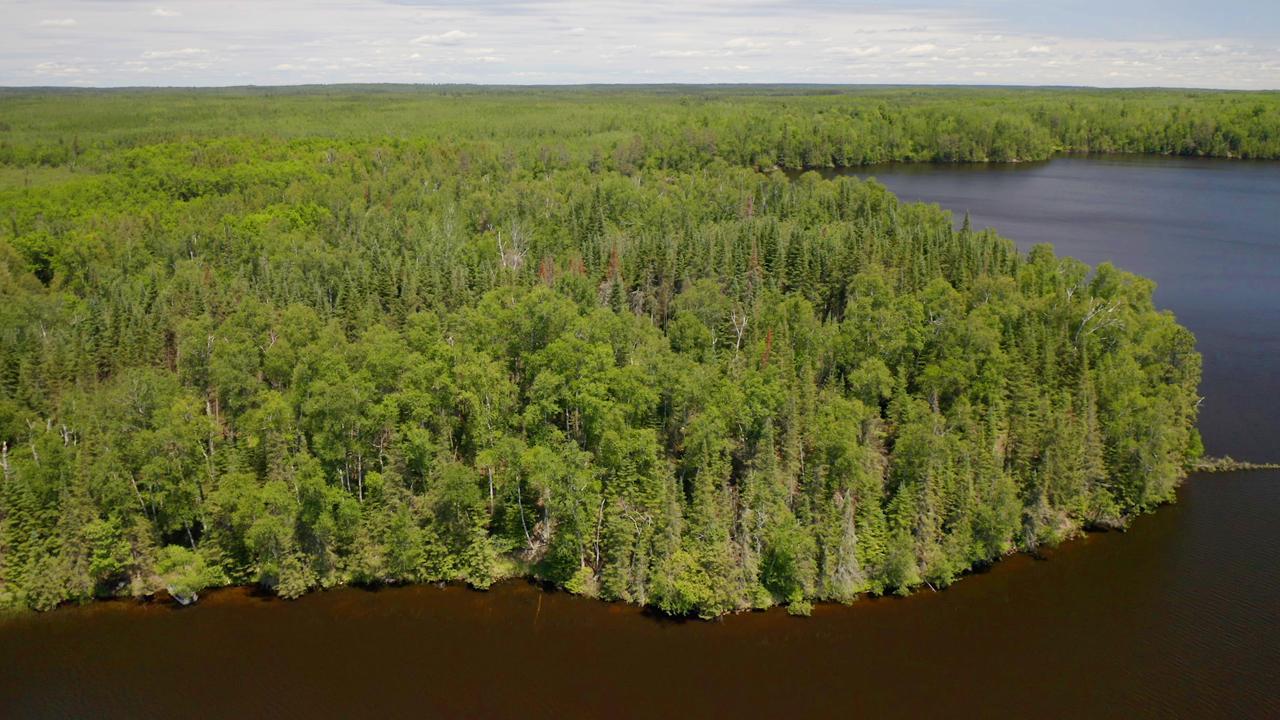 Tbd Stingy Lake Road Nashwauk, MN 55769 - Photo 1 of 1 Gallery Image 1