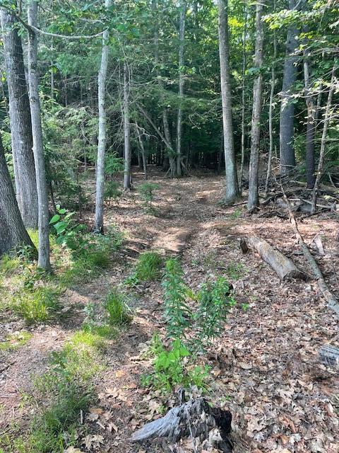 9 Gunpowder Mill Road Windham, ME 04062 - Photo 30 of 31 IMG_3102