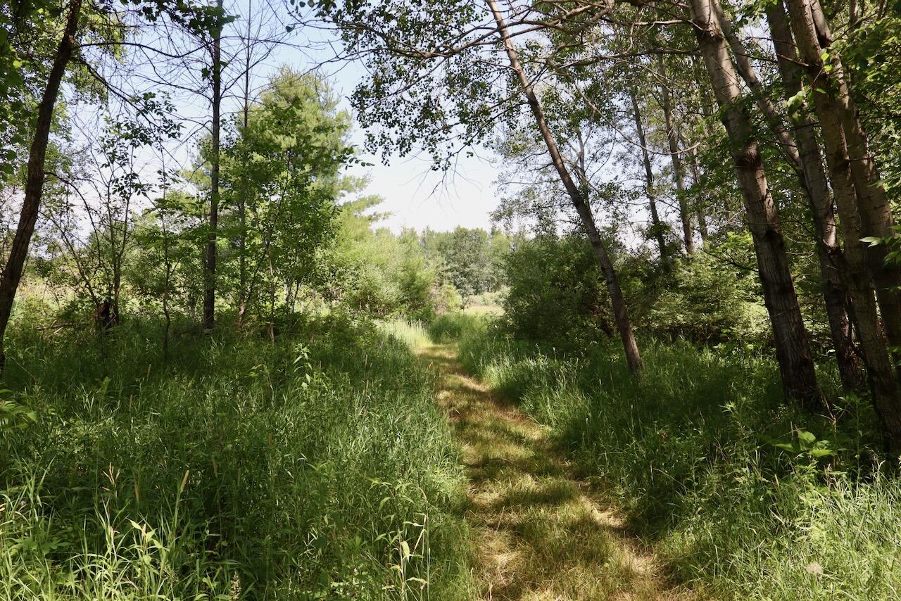 4718 Church Road Six Lakes, MI 48886 - Photo 13 of 76 013