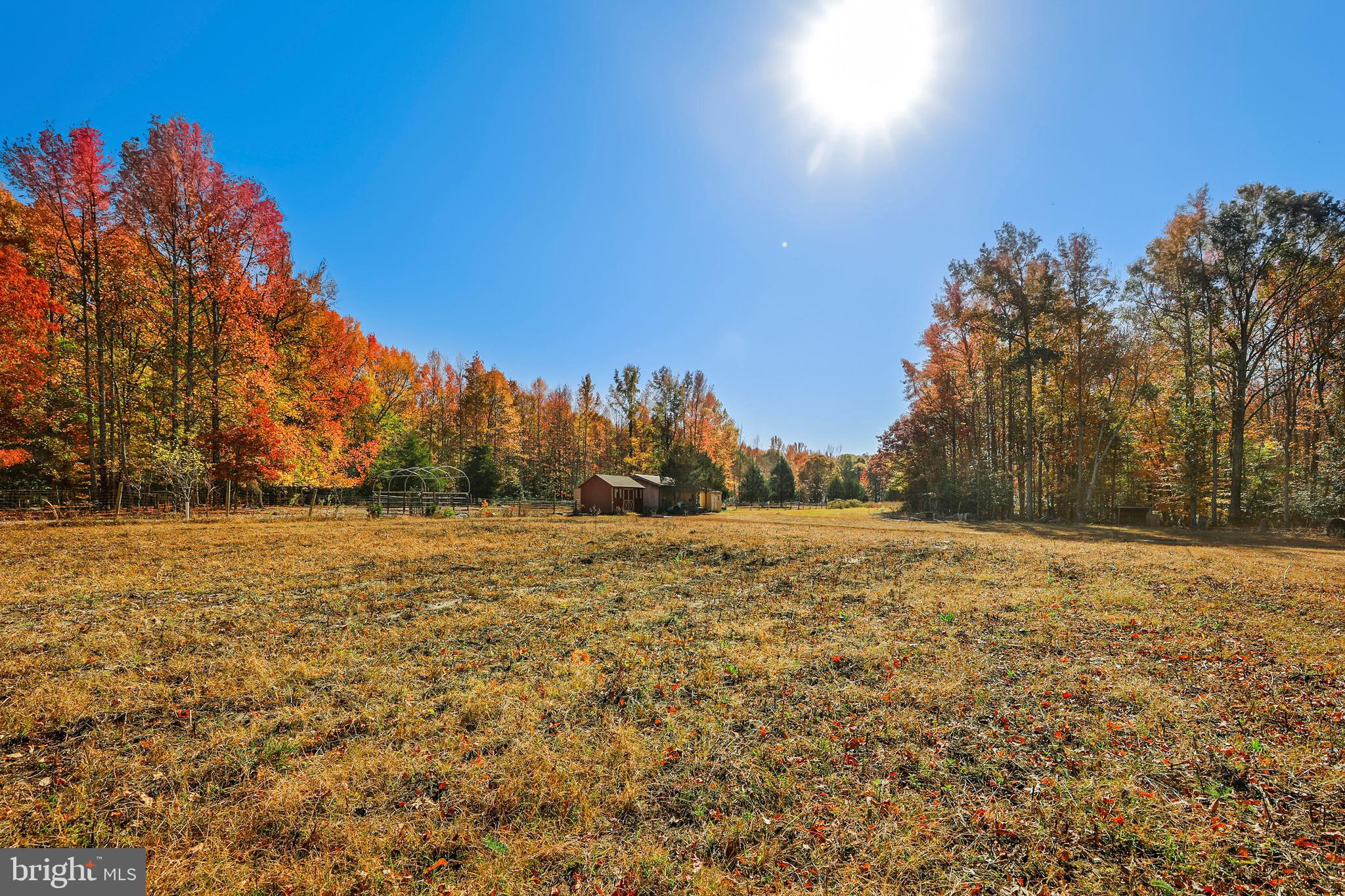 94 Skeet Road Medford, NJ 08055 - Photo 3 of 34 Pasture