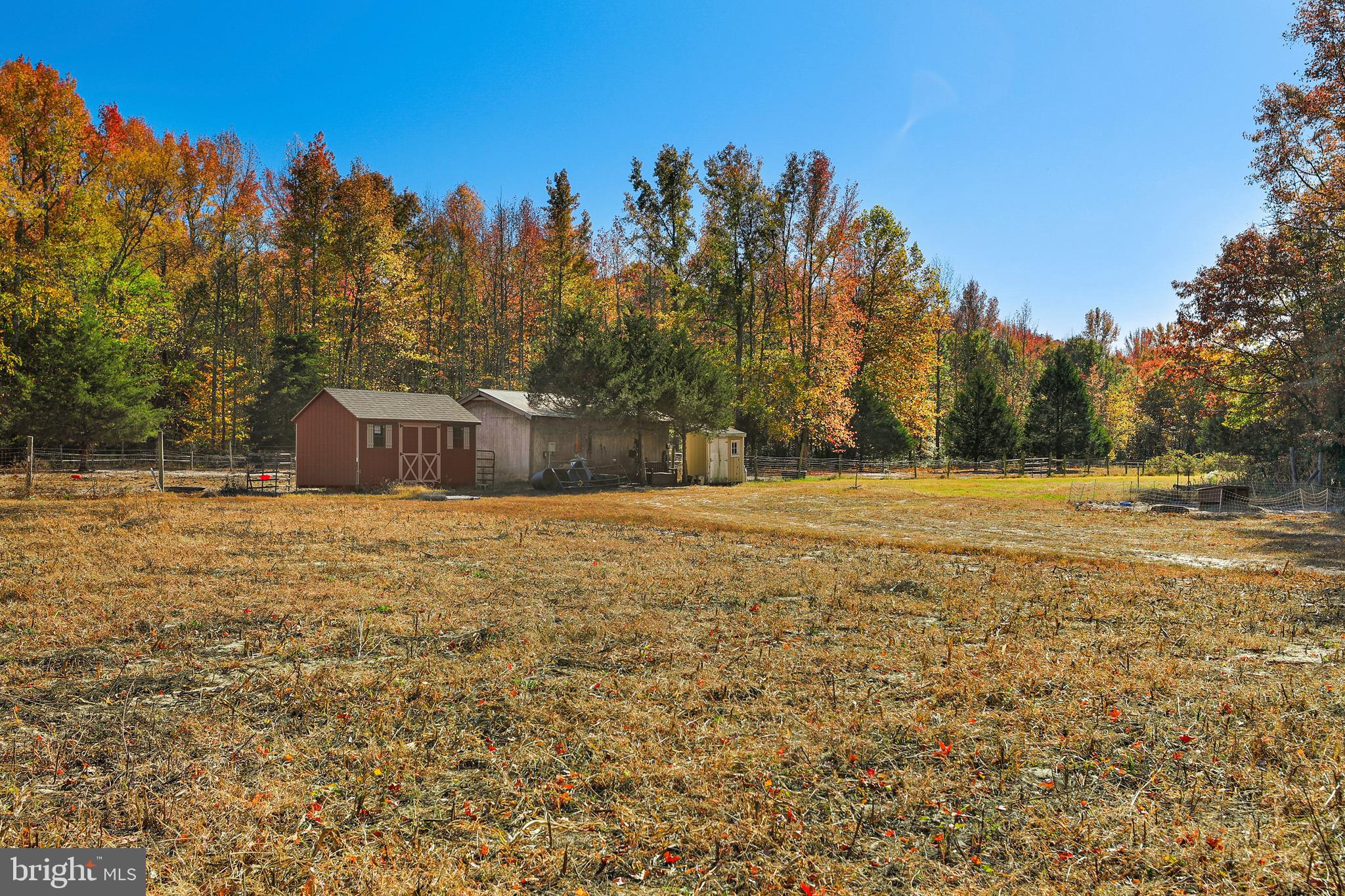 94 Skeet Road Medford, NJ 08055 - Photo 5 of 34 Pasture and out buildings