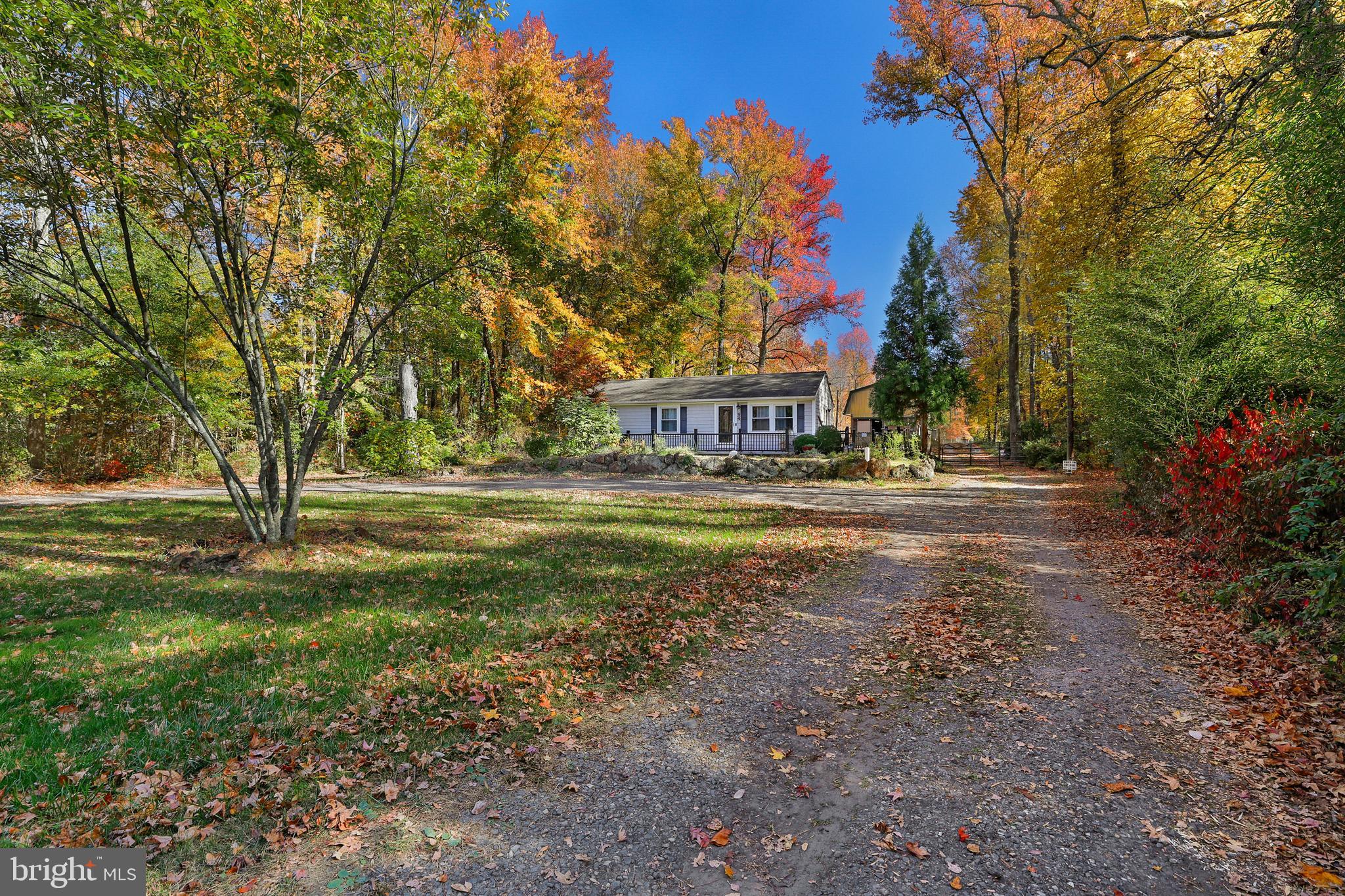 94 Skeet Road Medford, NJ 08055 - Photo 6 of 34 Driveway to farm
