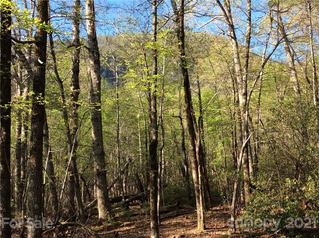 0 Quail Ridge Road, Unit 239 Lake Lure, NC 28746 - Photo 1 of 17 Gallery Image 1